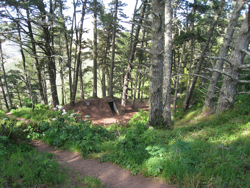 2011 Bay 2 Breakers Friday 0735.JPG - I was able to participate in the 100th annual running of the Bay to Breakers 12K race in San Francisco California. A weekend for sightseeing and racing.